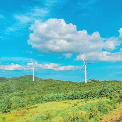 九游平台大航海时代5手游下载